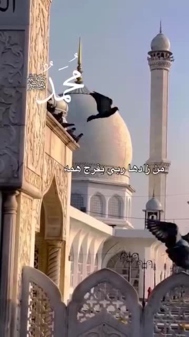 هكذا علمتني الحياة - 1197290224794472(360p)