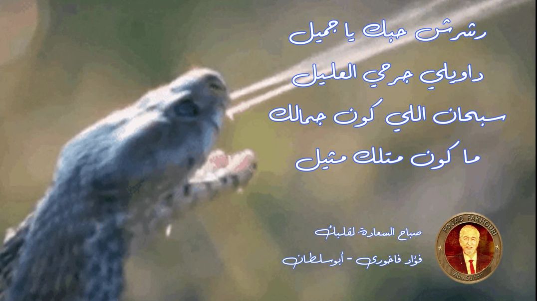 رشرش حبك