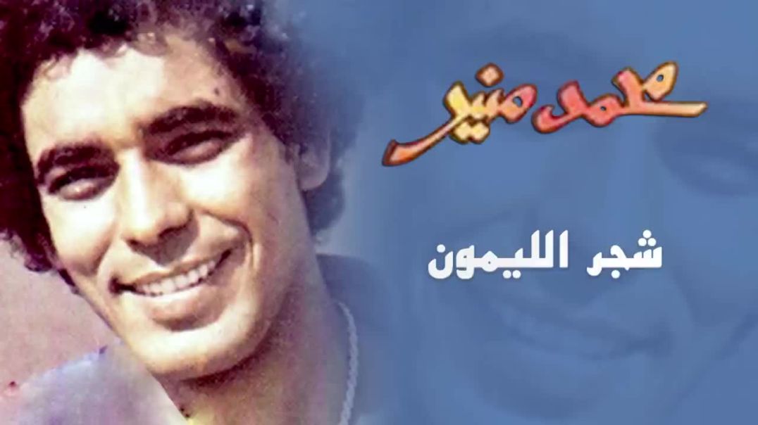 ⁣شجر الليمون محمد منير