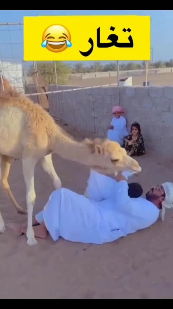 سبحان الله🐪_2