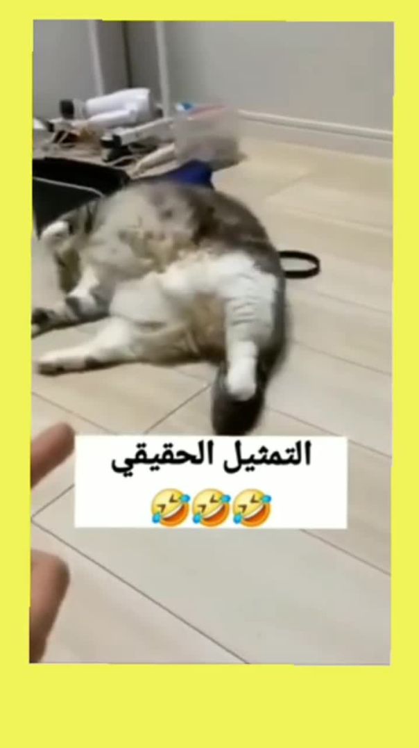 التمثيل الحقيقي🤣