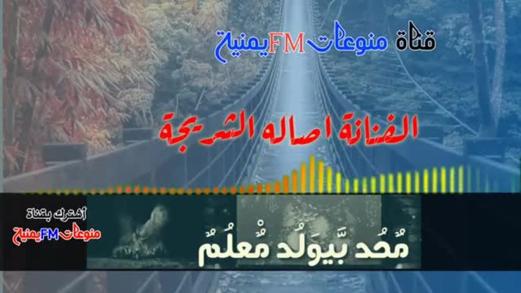 الفنانه اصاله الشريجه اغلط لاكن تعلم مش عيب لو كنت غلطان