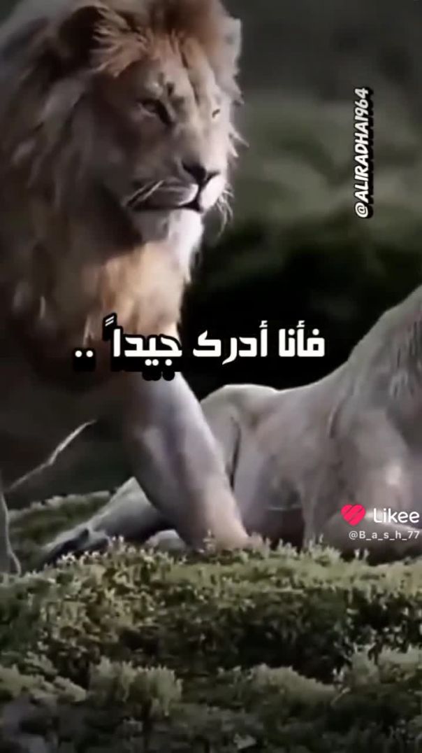 الثقه