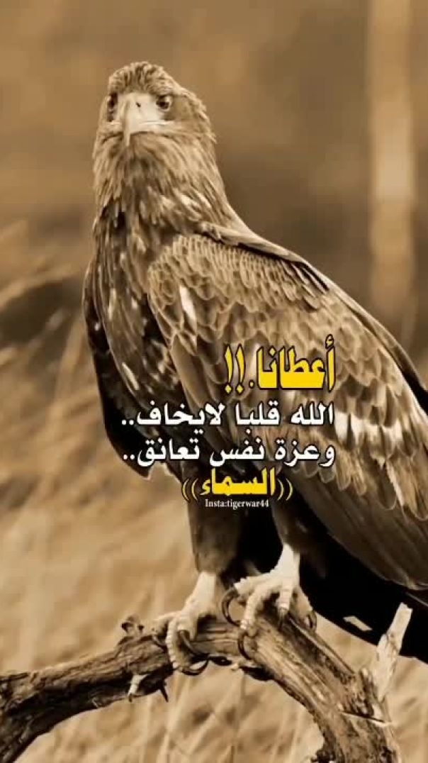 عطان الله عزة النفس