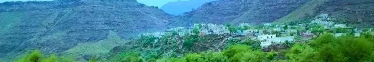 ABU AMir 