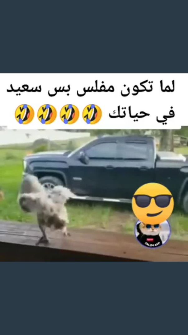 عيش_حياتك(