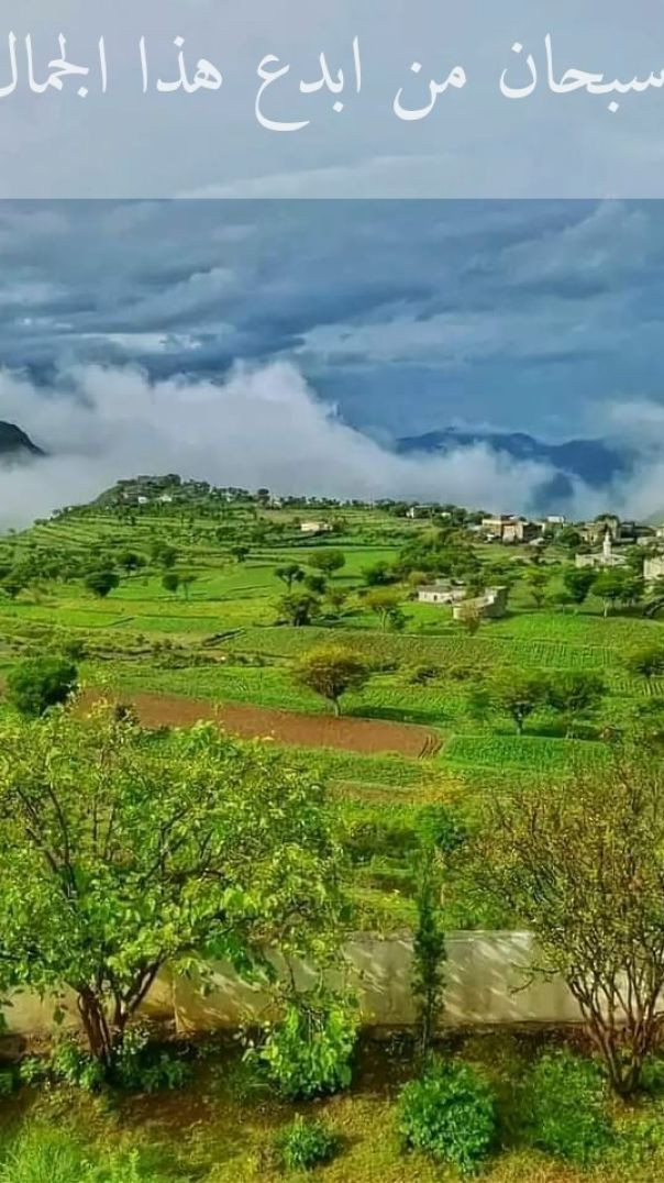 جمال رباني يبهر الناظر