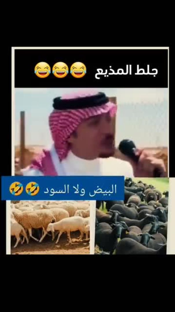 عفيف الخلقي - الواقع