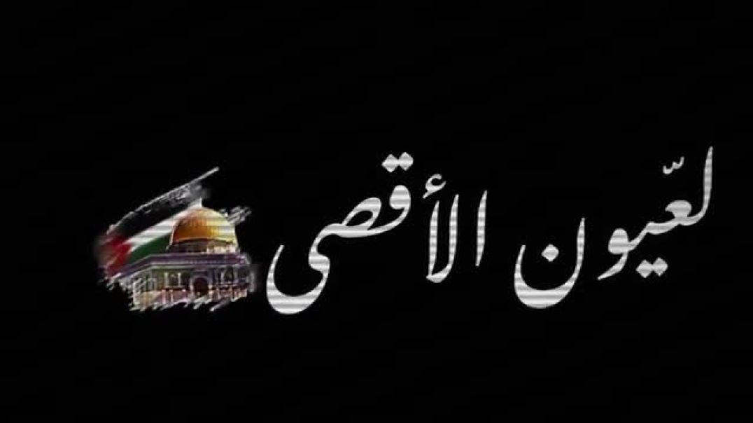 ⁣ابطالك يافلسطين رفعوا راسك بالعالي🥺✌🏼 شاشه سوداء حالات واتس اب بدون حقوق فلسطين_طوفان_الاقصى🇵🇸2023(3