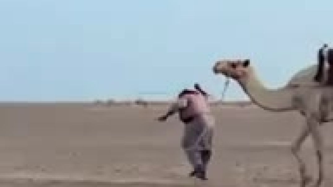 ياسهيل قبل الصبح شفناك بالعين(240P)